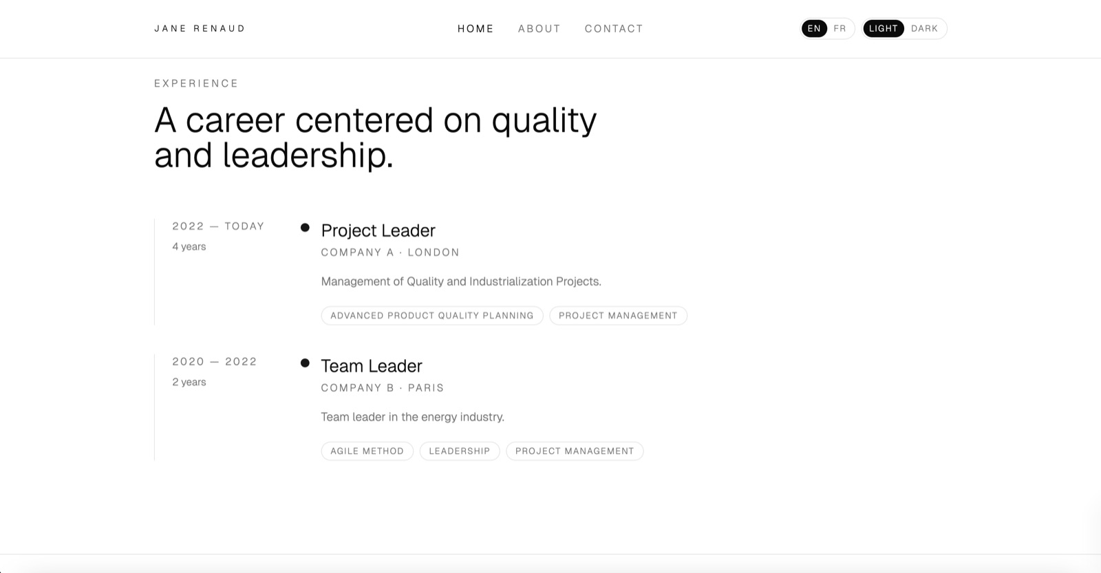 Executive portfolio experience timeline in light mode