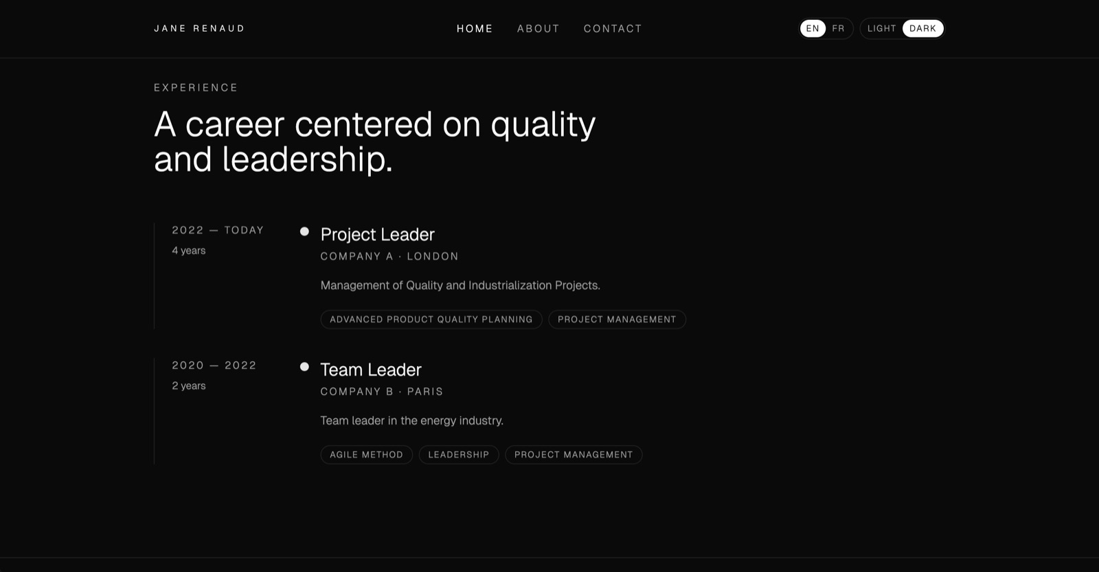 Executive portfolio experience timeline in dark mode